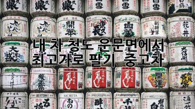 내 차, 청도 운문면에서 최고가로 팔기 💰 #중고차