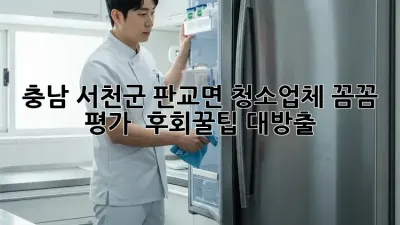 충남 서천군 판교면 청소업체 꼼꼼 평가! ✨ 후회❌꿀팁 대방출